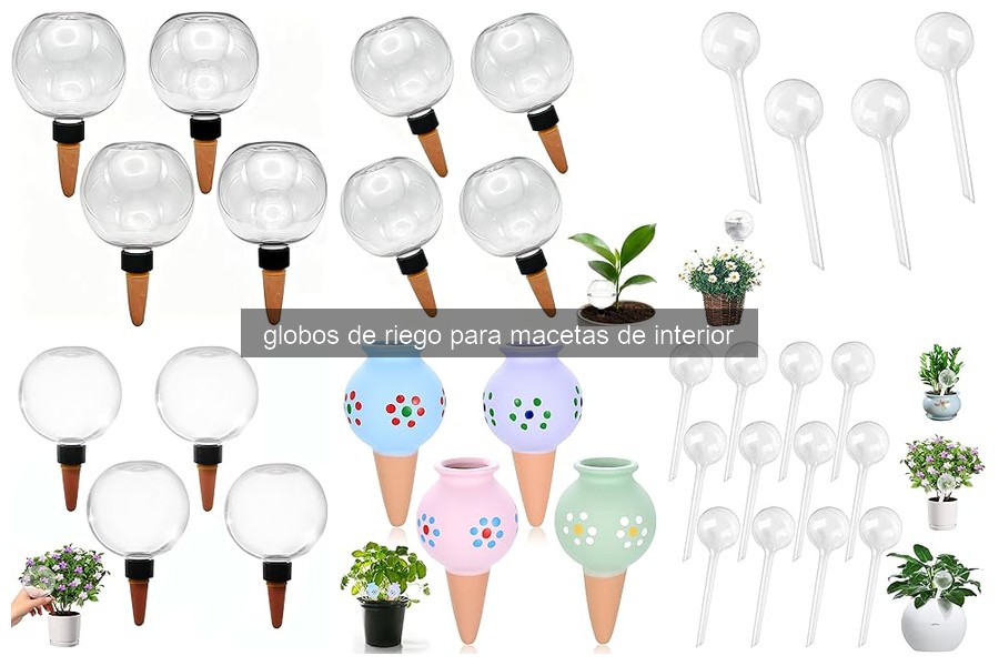 Guía para Elegir Globos de Riego para Macetas de Interior