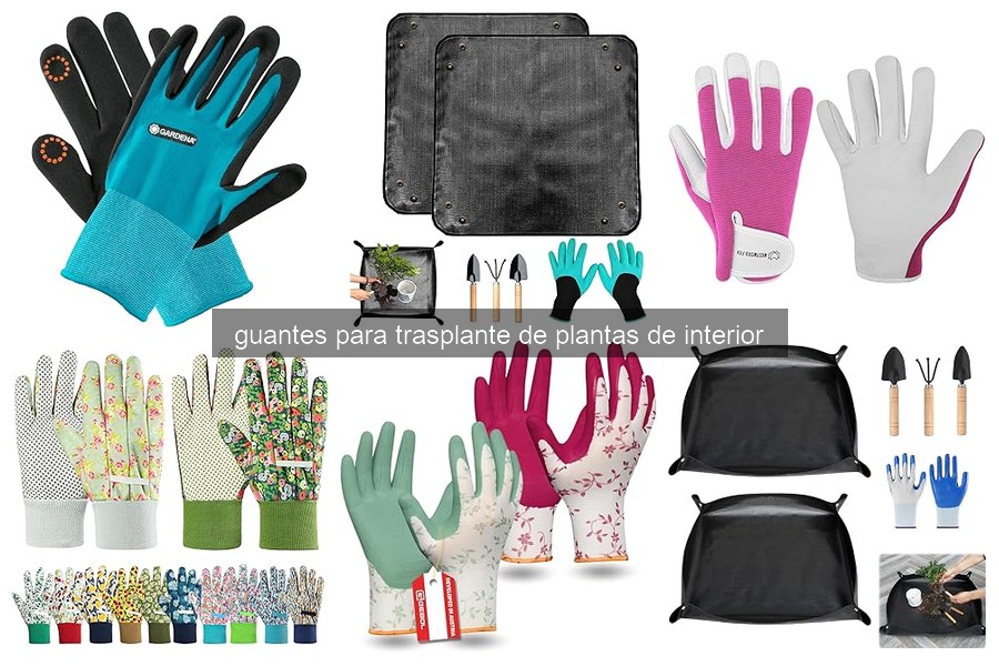 Guía para elegir guantes de trasplante de plantas de interior
