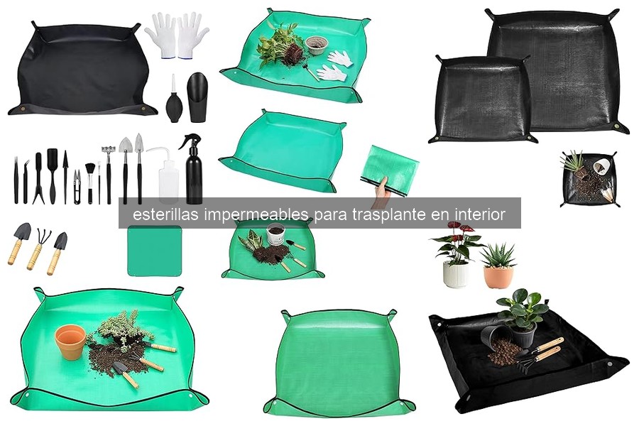 Guía para Elegir la Mejor Esterilla Impermeable para Trasplante