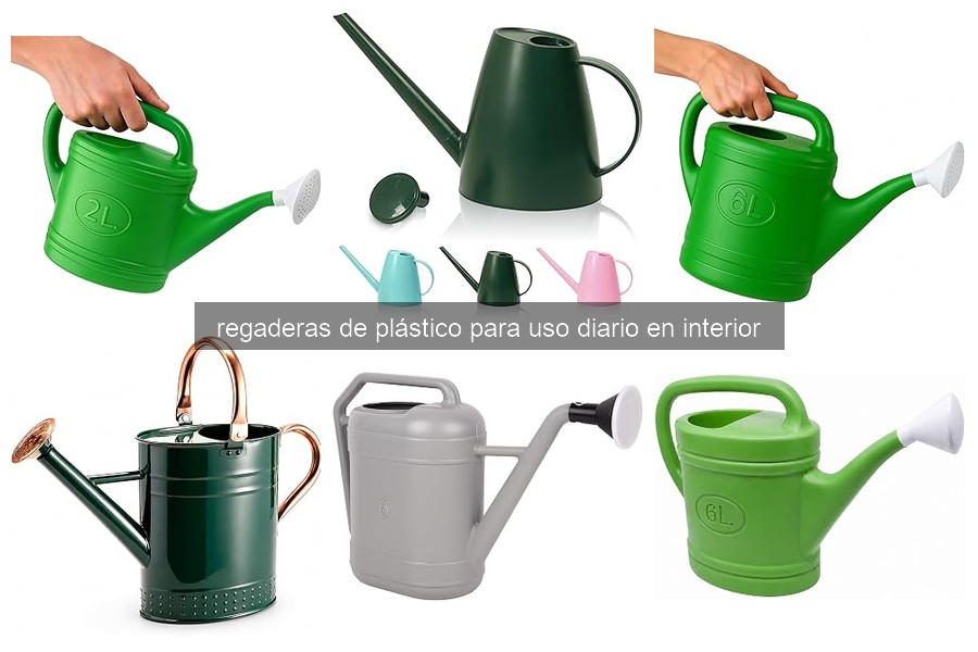 Guía para elegir la regadera de plástico perfecta para interiores
