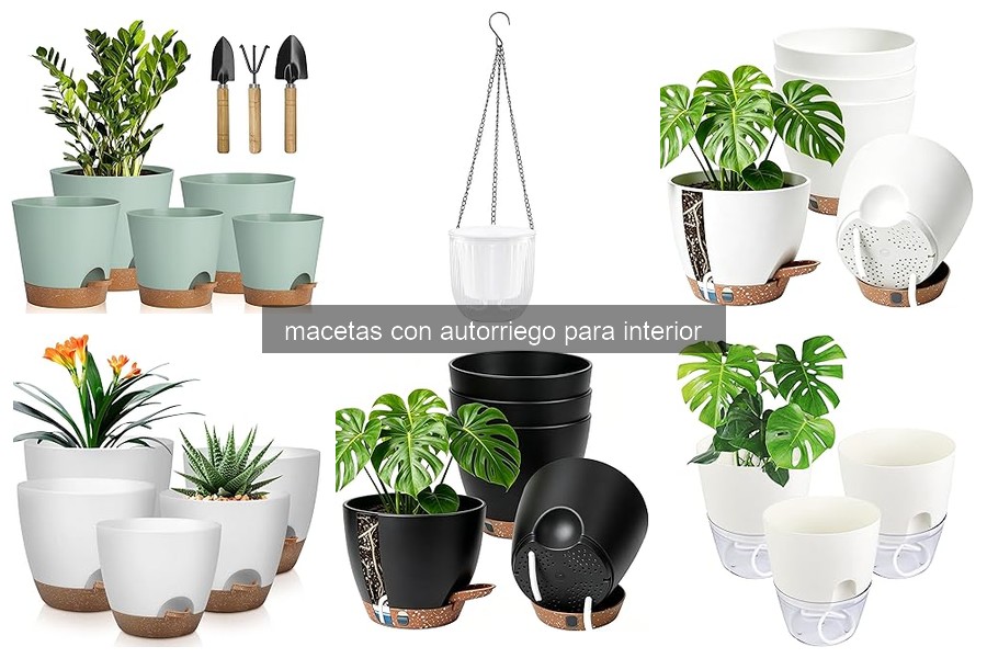 Guía para Elegir Macetas con Autorriego para Interior