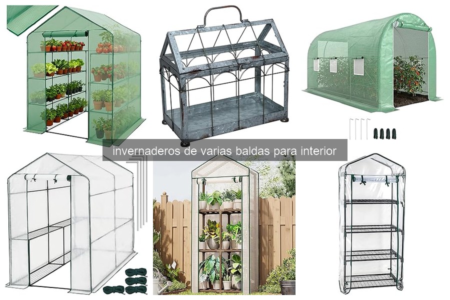Guía para Instalar un Invernadero de Baldas en Casa