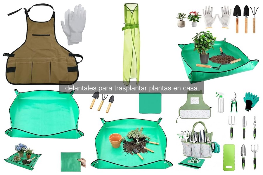 Guía sobre Delantales para Trasplantar Plantas en Casa