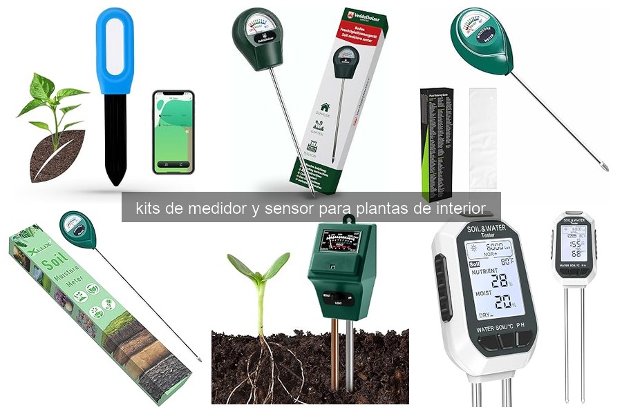 Guía sobre kits de medidor y sensor para plantas de interior