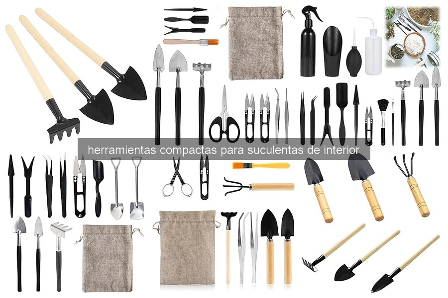 Herramientas compactas esenciales para suculentas de interior