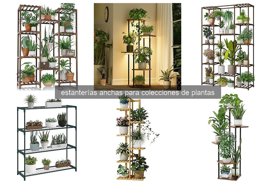 Ideas Creativas para Organizar Estanterías de Plantas Anchas