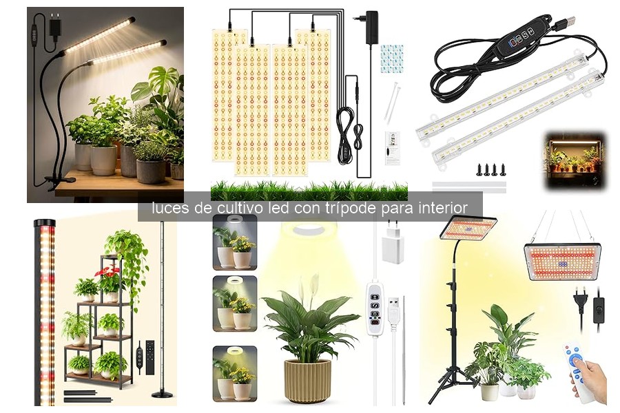 Instala correctamente luces de cultivo LED con trípode