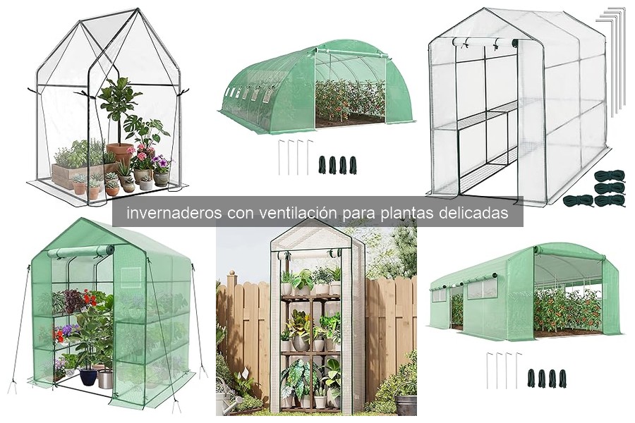 Invernaderos con Ventilación: Cuida tus Plantas Delicadas