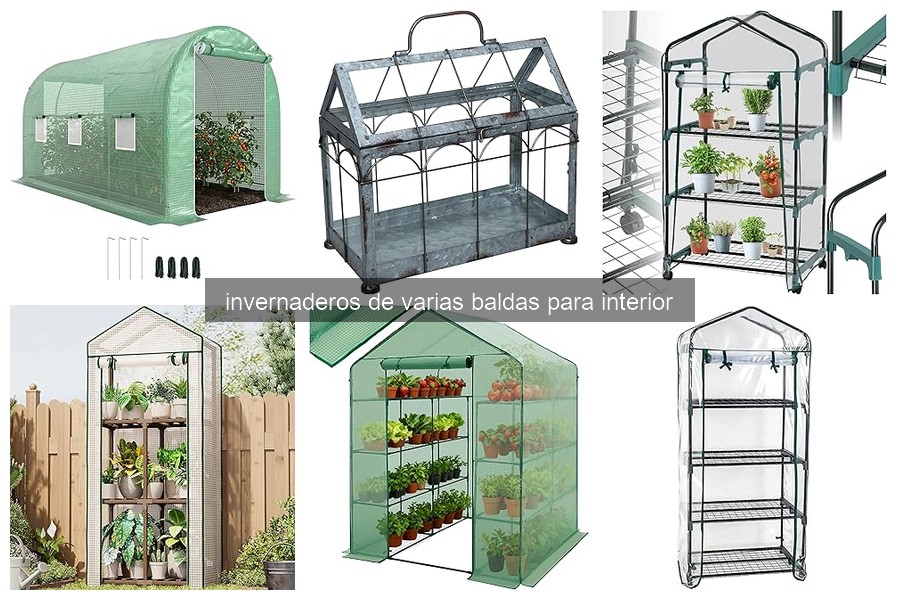 Invernaderos de Balda para Interior: Beneficios y Características