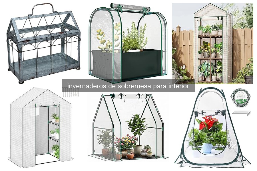 Invernaderos de sobremesa para interior: ¿Qué son y cómo funcionan?