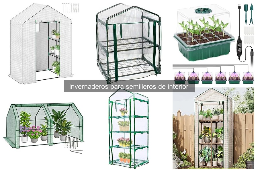 Invernaderos para Semilleros de Interior: ¿Qué Son y Cómo Funcionan?