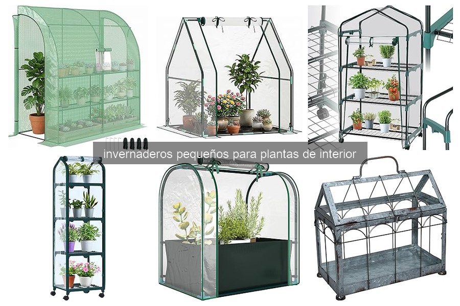 Invernaderos Pequeños para Plantas de Interior: Beneficios y Características