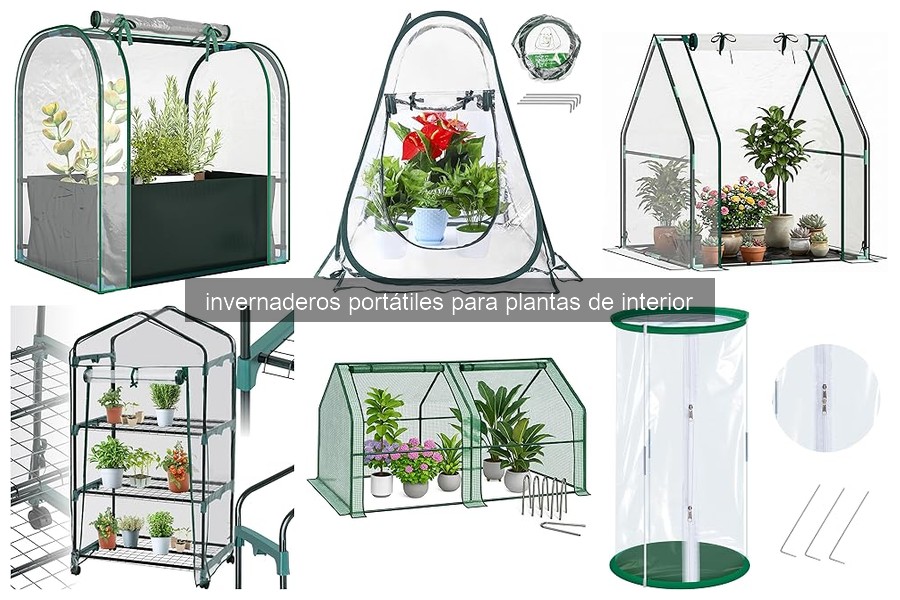 Invernaderos Portátiles para Plantas de Interior: ¿Qué Son?