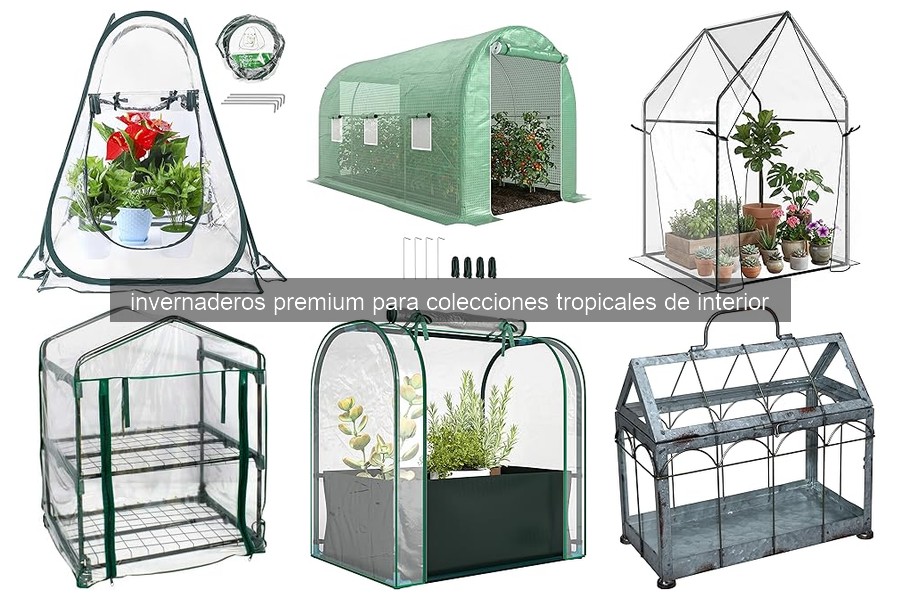 Invernaderos Premium para Plantas Tropicales: Todo lo que Debes Saber
