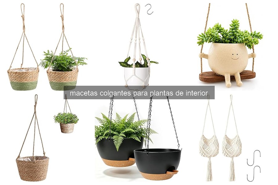 Las mejores plantas para macetas colgantes en 2026
