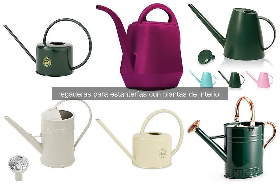Las mejores regaderas para plantas de interior en 2026