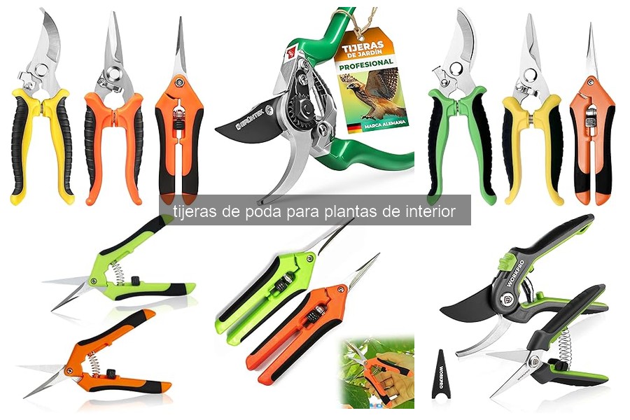 Las Mejores Tijeras de Poda para Plantas de Interior en 2026