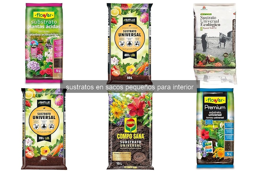 Los mejores sustratos para plantas de interior en 2026