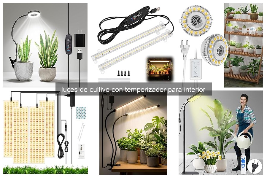 Luces de cultivo con temporizador: ¿Qué son y cómo funcionan?