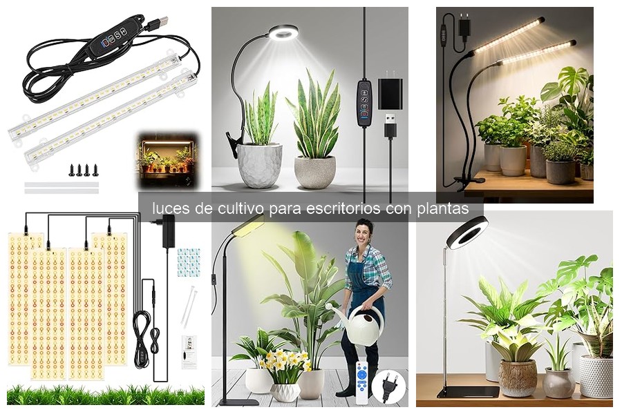 Luces de Cultivo para Escritorios: ¿Qué Son y Sus Beneficios?