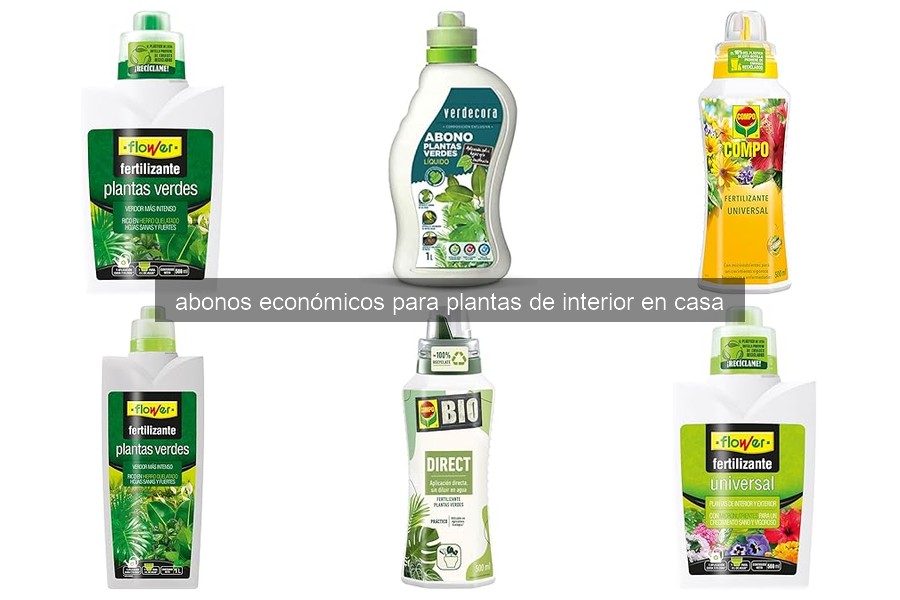 Mejores abonos económicos para plantas de interior en 2026