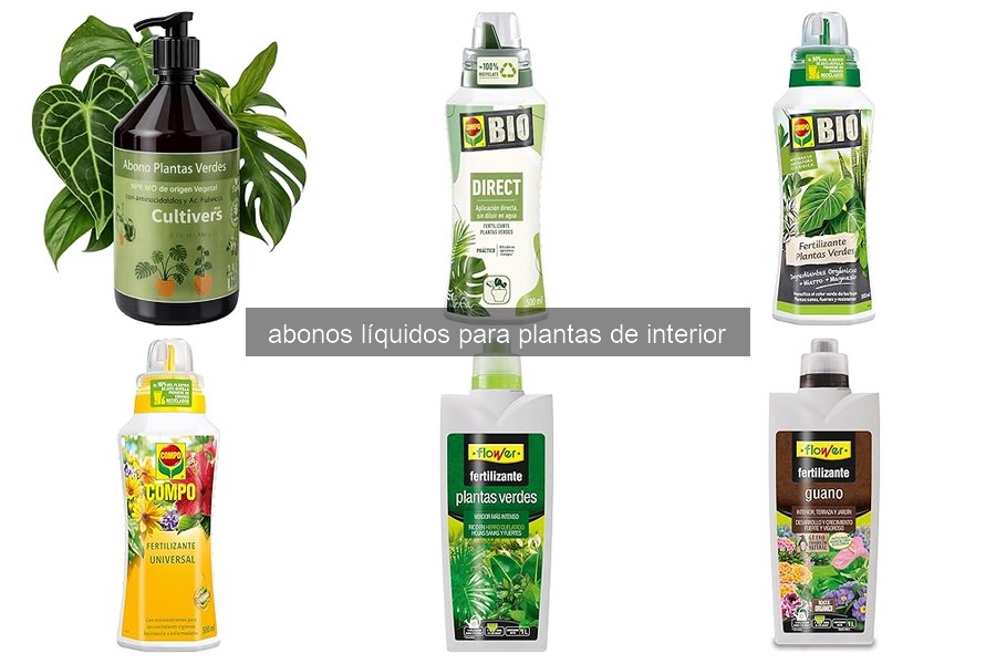 Mejores abonos líquidos para plantas de interior 2023