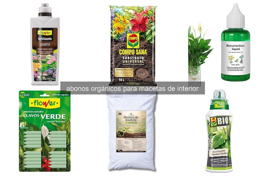 Mejores abonos orgánicos para plantas de interior 2023