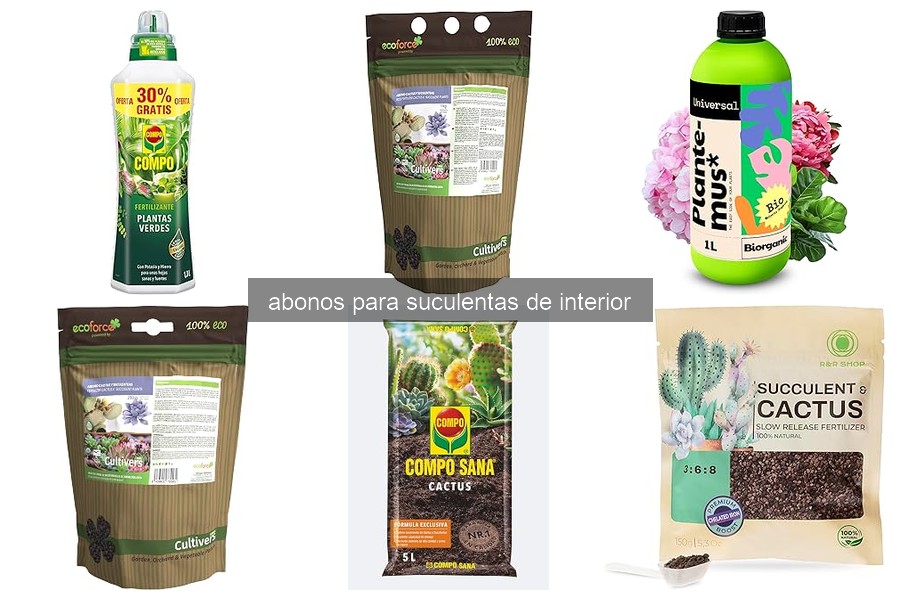 Mejores abonos orgánicos para suculentas de interior en 2026