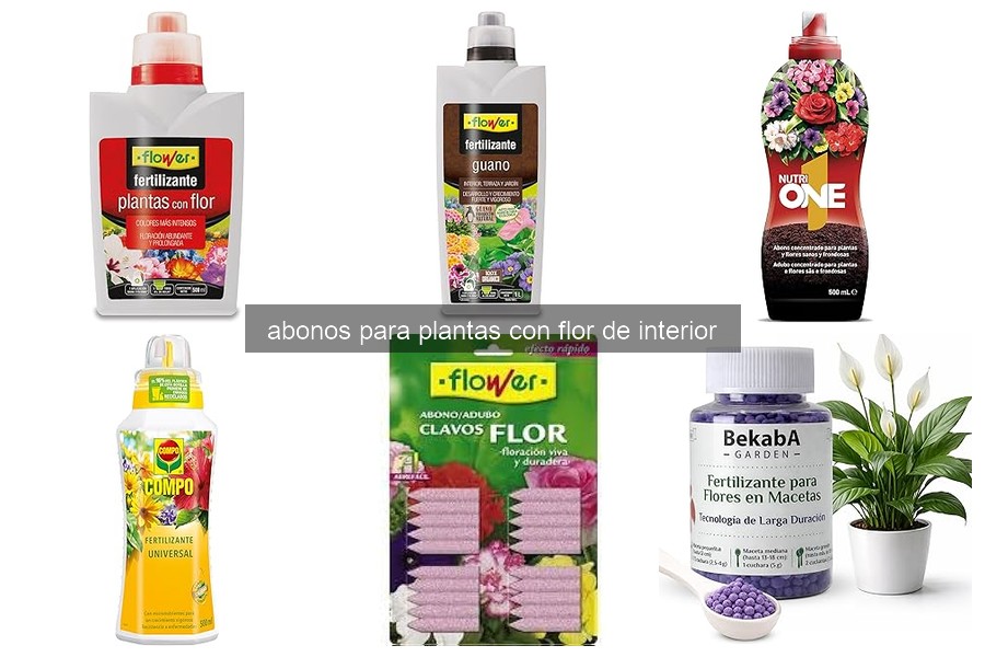 Mejores abonos para plantas con flor de interior en 2026