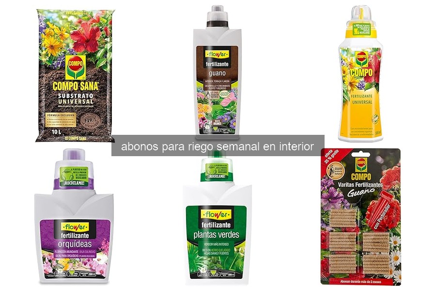 Mejores abonos para riego semanal en plantas de interior