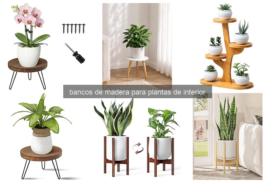 Mejores bancos de madera para plantas de interior en 2023