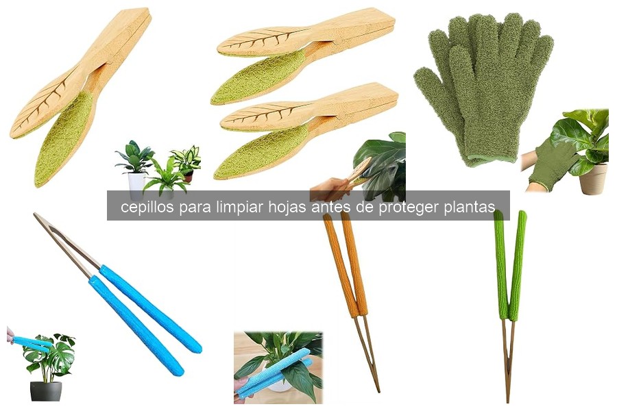 Mejores cepillos para limpiar hojas de plantas efectivamente
