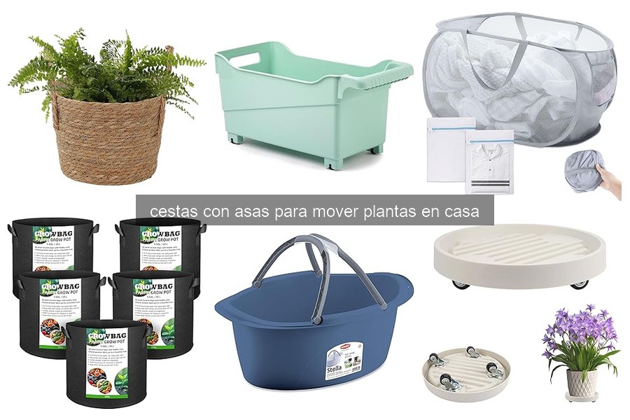 Mejores cestas con asas para mover plantas en casa
