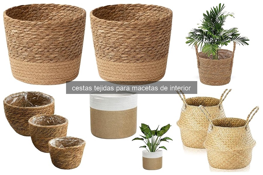 Mejores cestas tejidas para macetas de interior en 2026