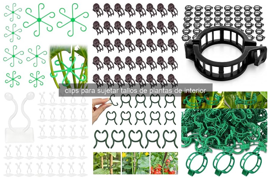 Mejores clips para sujetar tallos de plantas de interior
