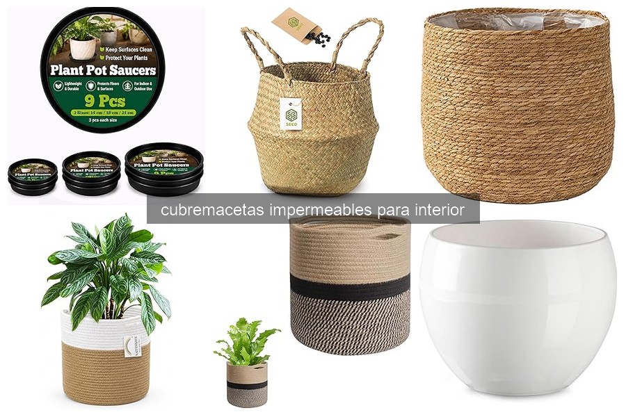 Mejores cubremacetas impermeables para plantas específicas