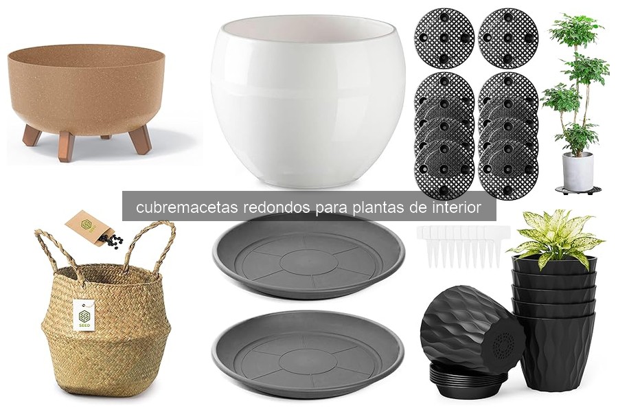 Mejores cubremacetas redondos para plantas de interior