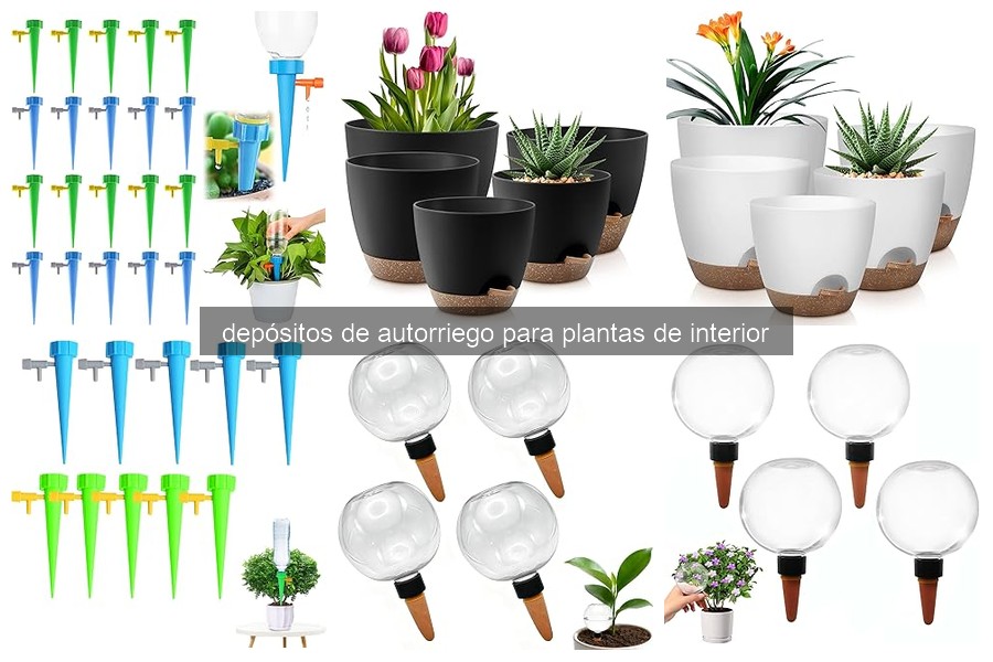 Mejores depósitos de autorriego para plantas de interior en 2026