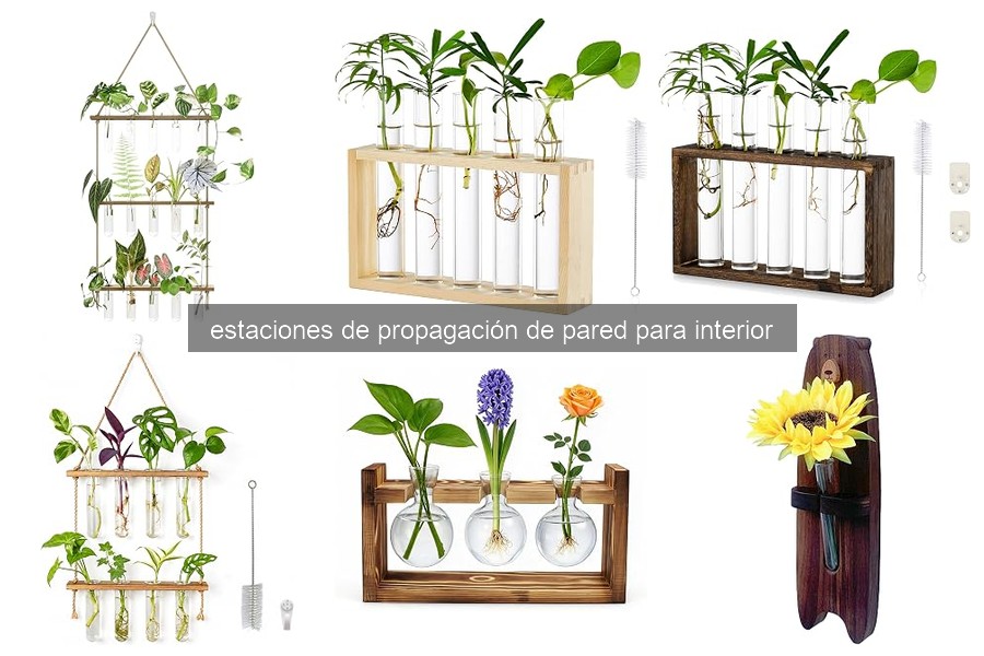 Mejores estaciones de propagación para apartamentos pequeños