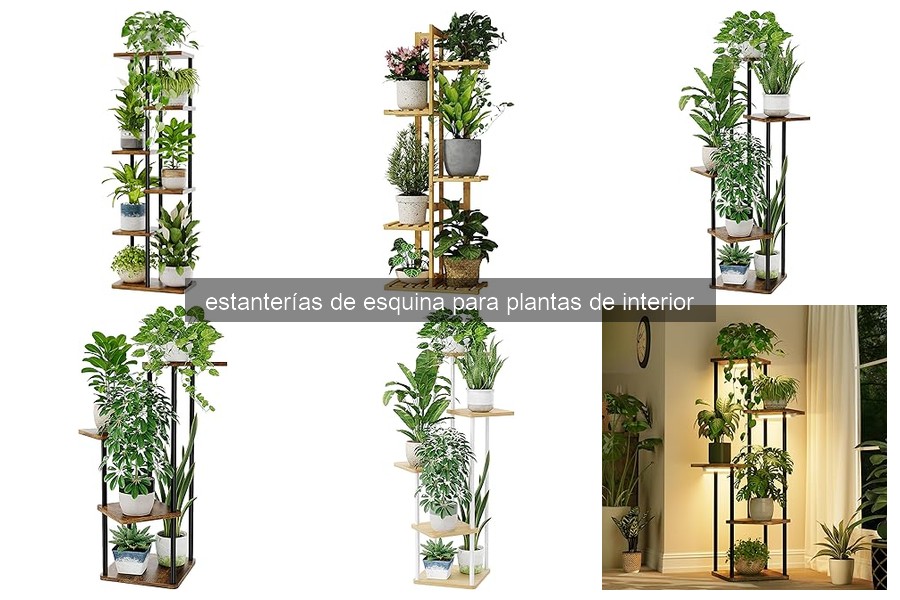 Mejores estanterías de esquina para plantas pequeñas en 2026