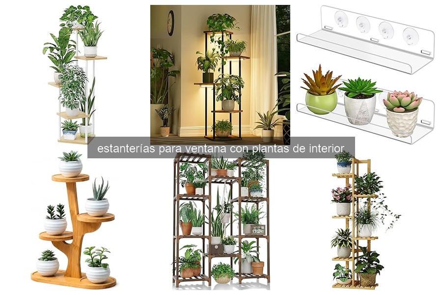 Mejores estanterías para ventana de plantas en 2023