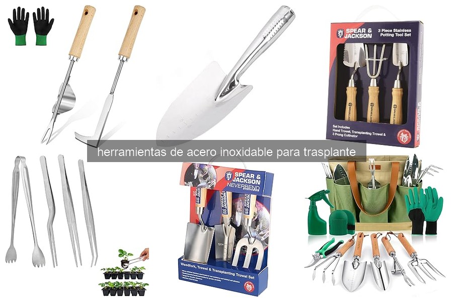 Mejores herramientas de acero inoxidable para trasplante en Amazon
