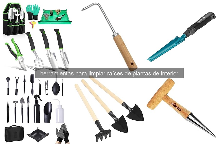 Mejores herramientas para limpiar raíces de plantas de interior