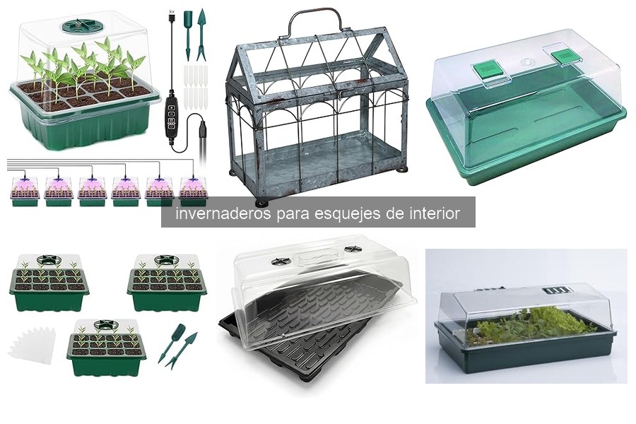 Mejores invernaderos para esquejes de interior en 2023