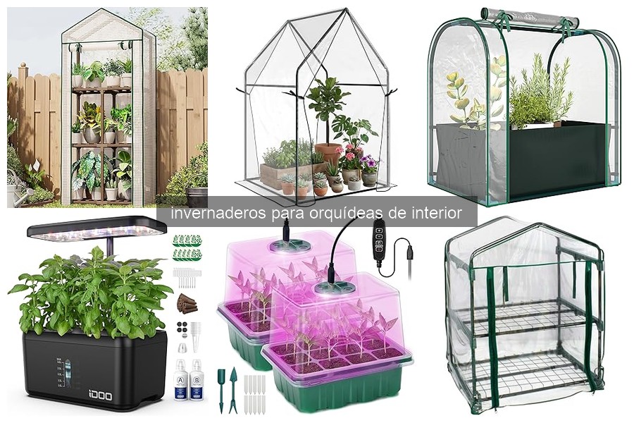 Mejores invernaderos para orquídeas de interior en 2026