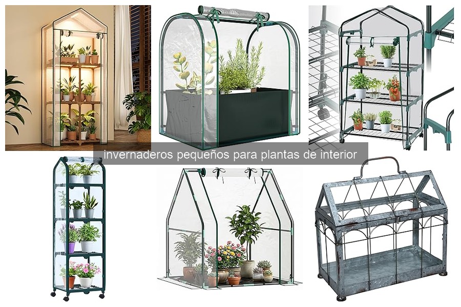 Mejores invernaderos pequeños para plantas de interior (2026)