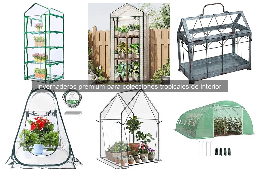Mejores invernaderos premium tropicales en 2024: comparativa