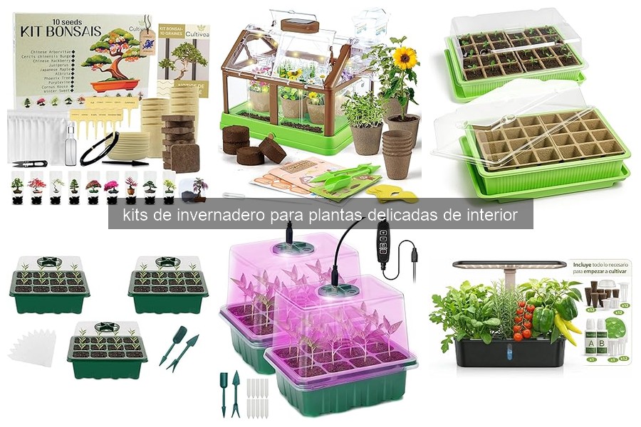 Mejores kits de invernadero para plantas de interior 2026