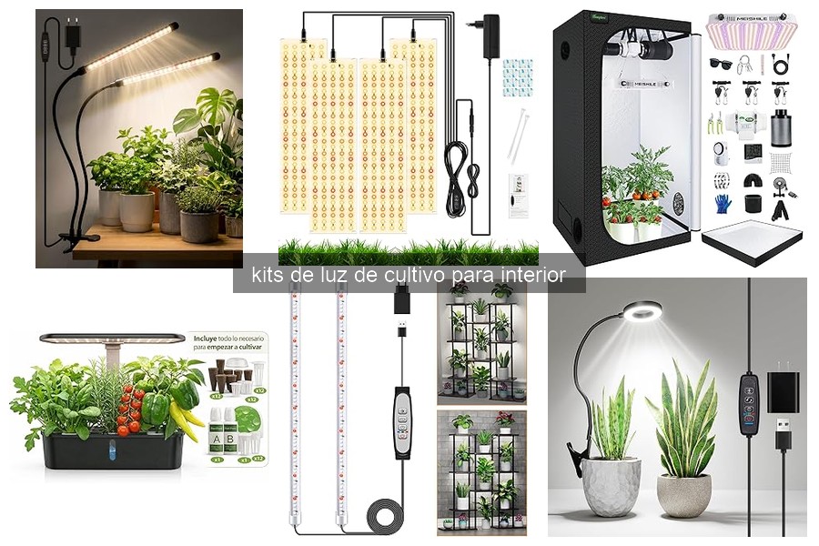 Mejores kits de luz de cultivo para principiantes en 2026
