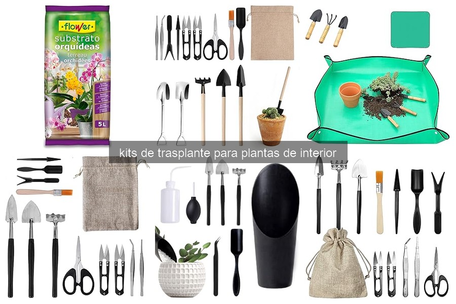 Mejores kits de trasplante para plantas de interior 2023